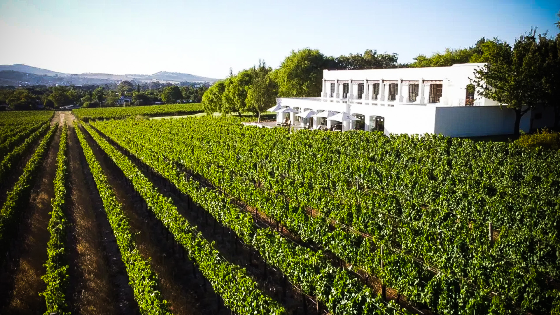 challenges-and-opportunities-for-boutique-wineries.jpg