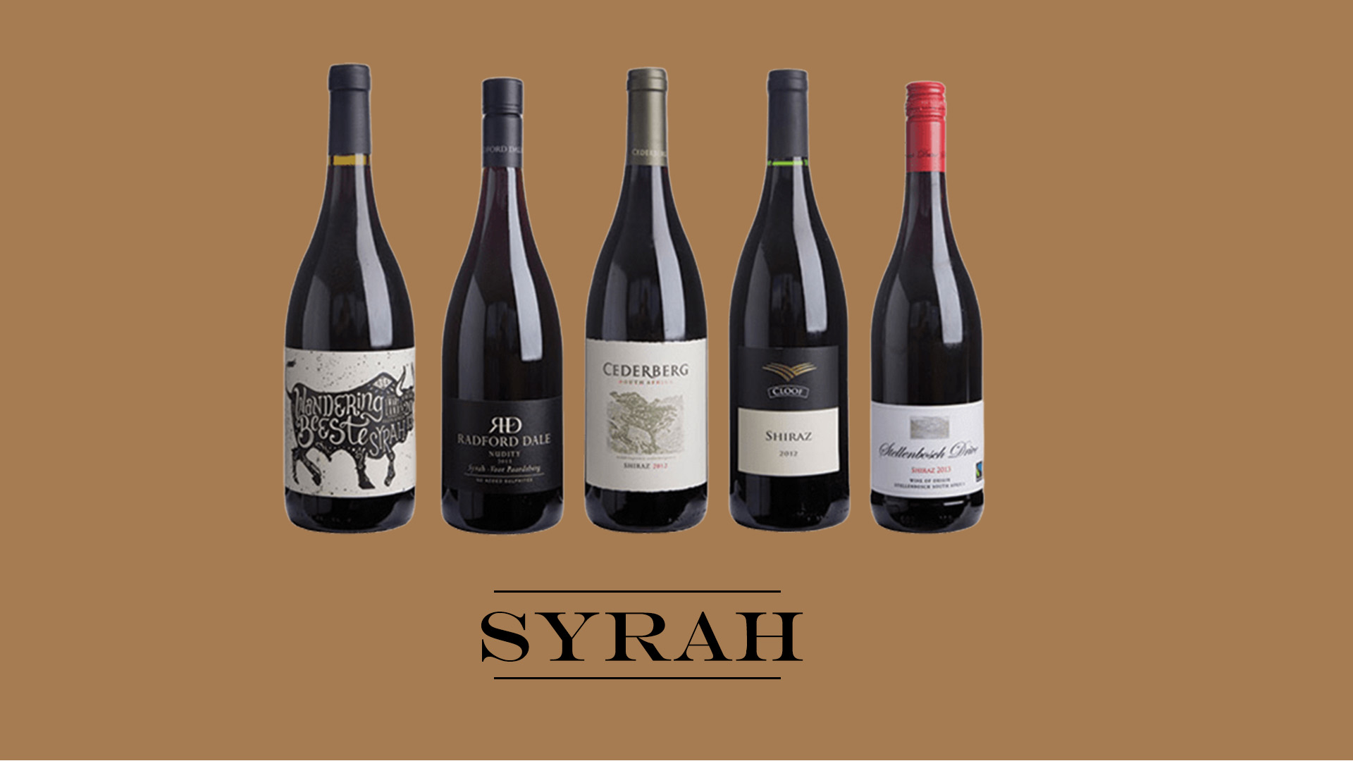 syrah.jpg
